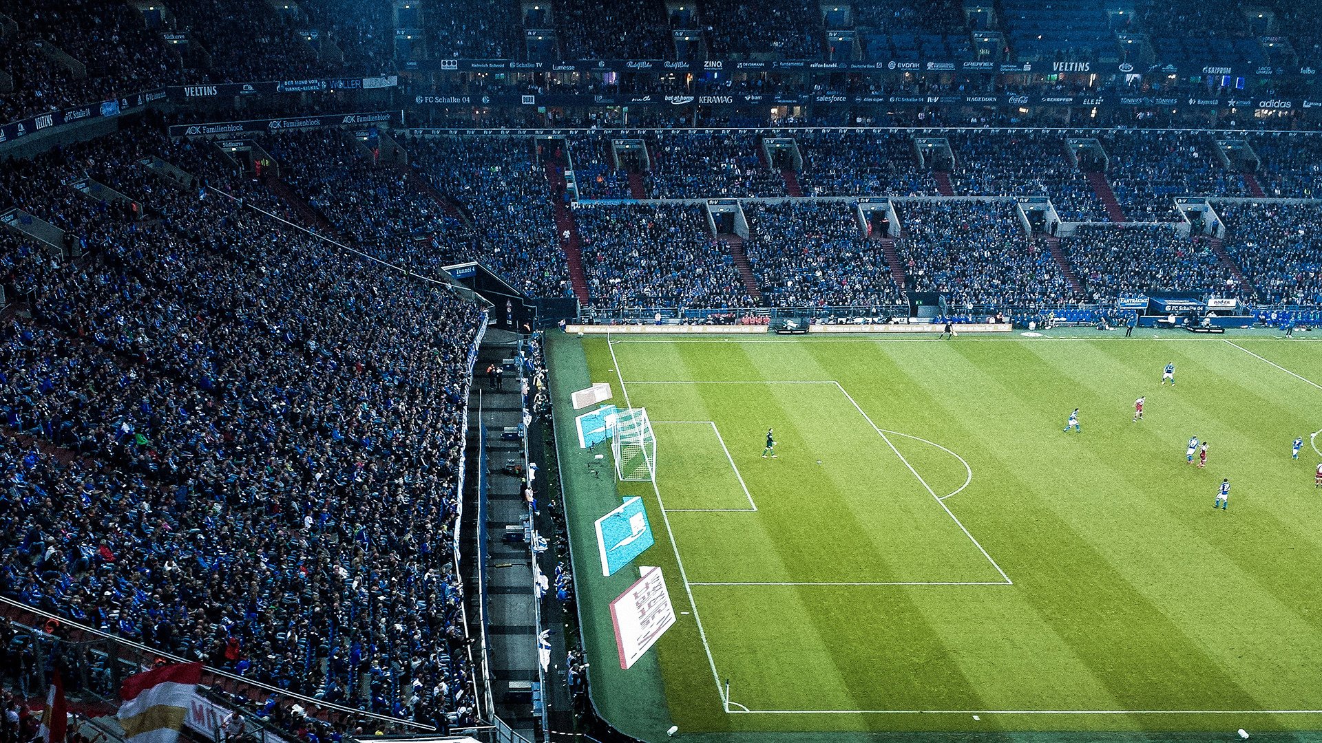 开云APP-东方力量席卷赛场，戴资颖独步天下