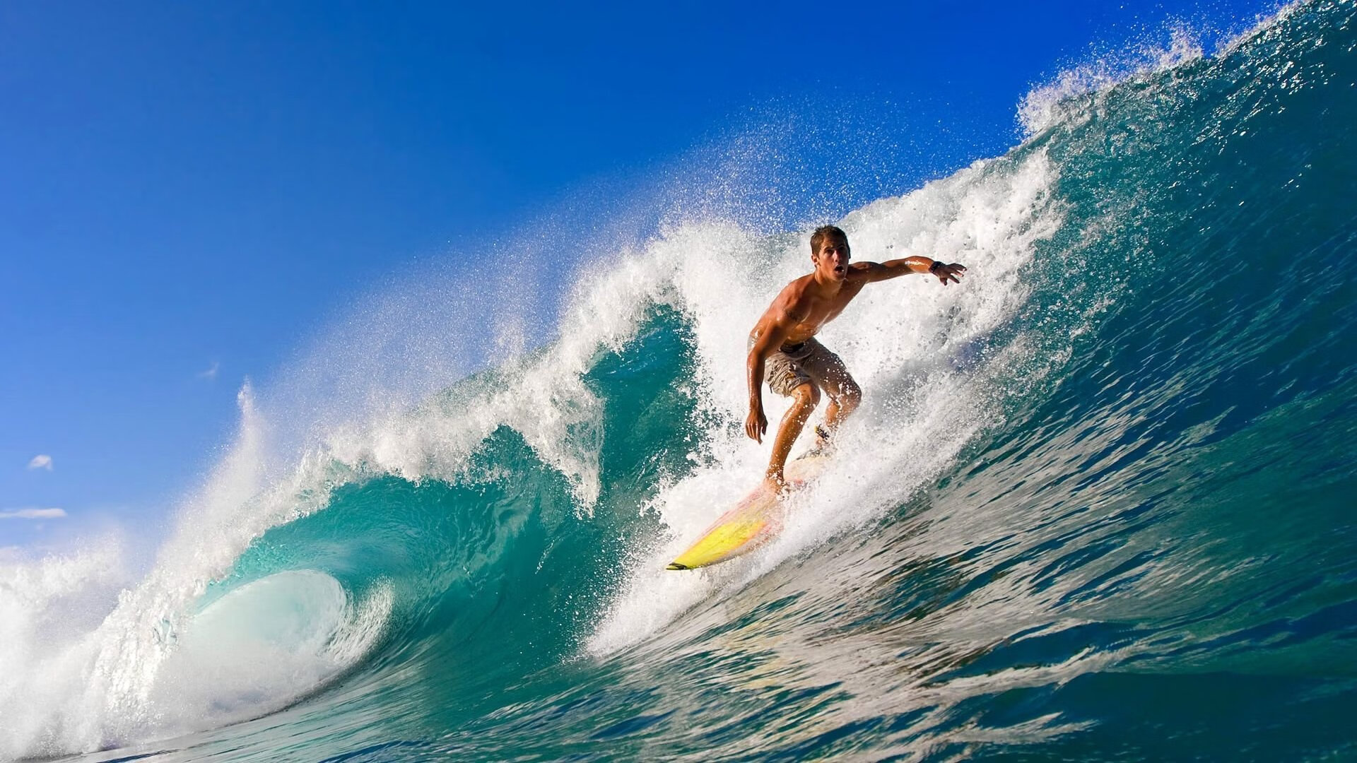 开云平台-北欧雄鹰羽翼渐丰，鲁德温网力克法网冠军的背后启示